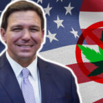 Florida constitutional amendments in the 2024 election include recreational marijuana legalization and abortion access.