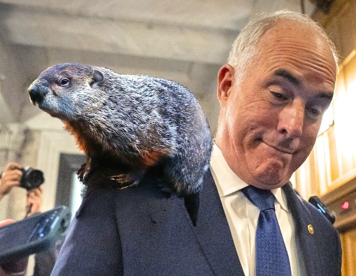 Punxsutawney Bob: Counting Shadows and Votes