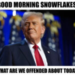 Trump’s Election Comeback Riles the Democrat Party's Assorted Snowflakes