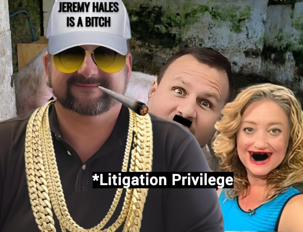 Jeremy Hales In Freefall: YouTuber collapses under abuse allegations, court losses, and public satire. Echo chamber cracks. Truth exposed.