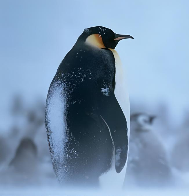 It’s Snow Joke: Pennsylvania’s early snowstorm brings subfreezing chaos, PennDOT debris, and sharp climate irony. Greg Maresca reports.