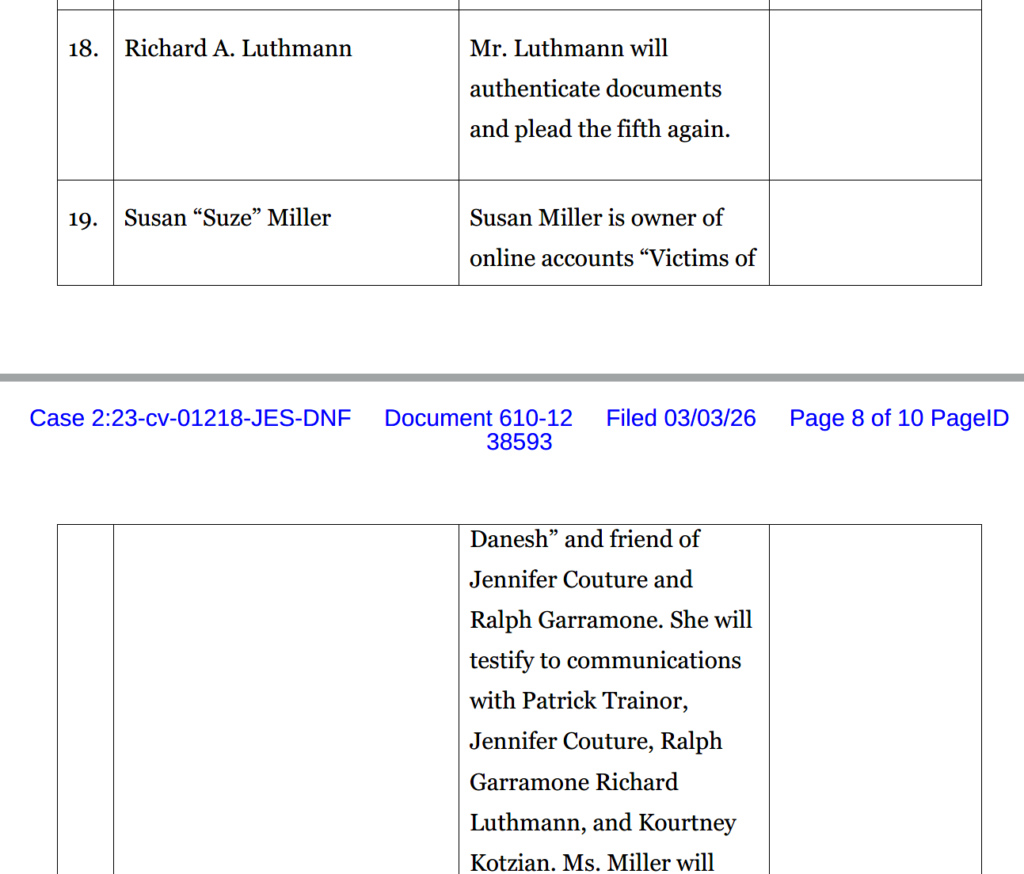 Journalist Luthmann Listed on Danesh's Exhibit List