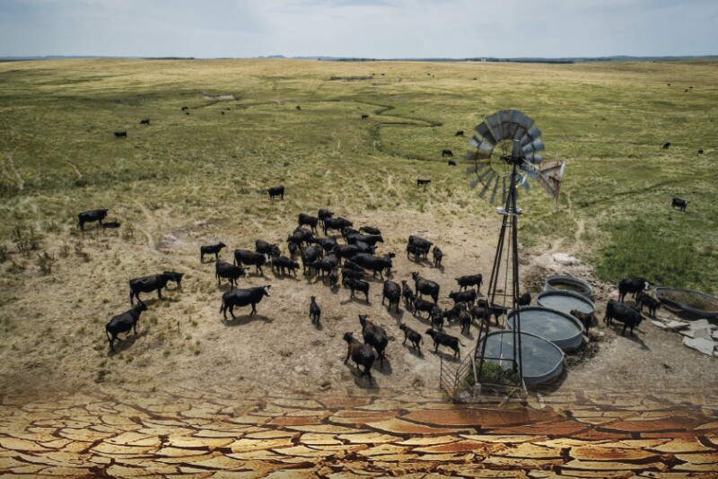 Where's the Beef America: Greg Maresca revives an old slogan to capture food inflation, rising beef prices, and fading American abundance.