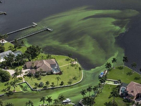 The Manatee Power Grab: Florida manatee lawsuit could let federal courts force state regulation—raising major constitutional questions.