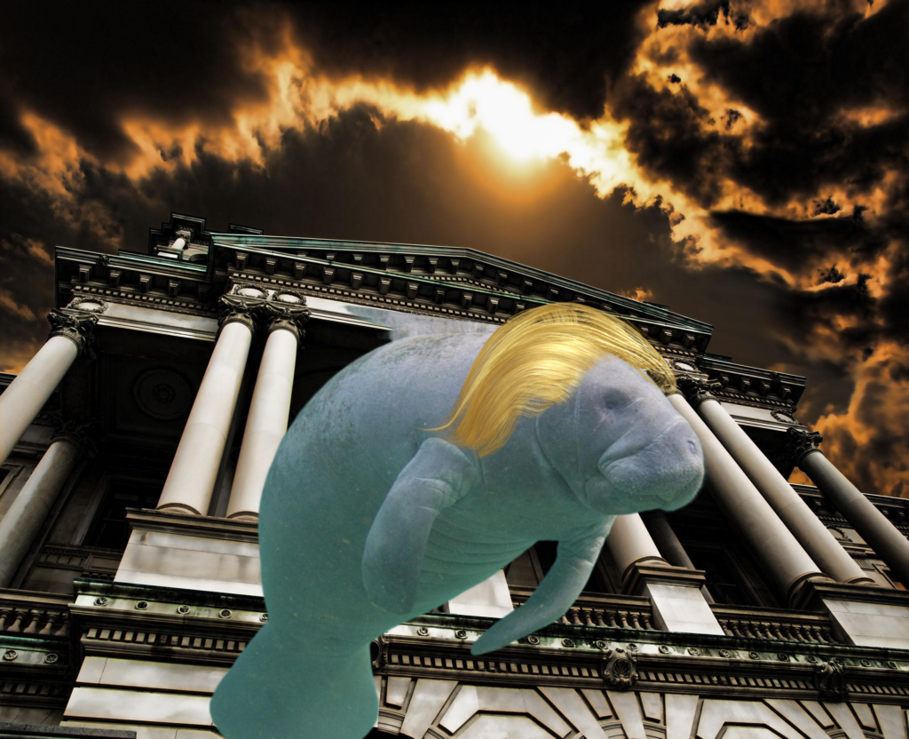 The Manatee Power Grab: Florida manatee lawsuit could let federal courts force state regulation—raising major constitutional questions.