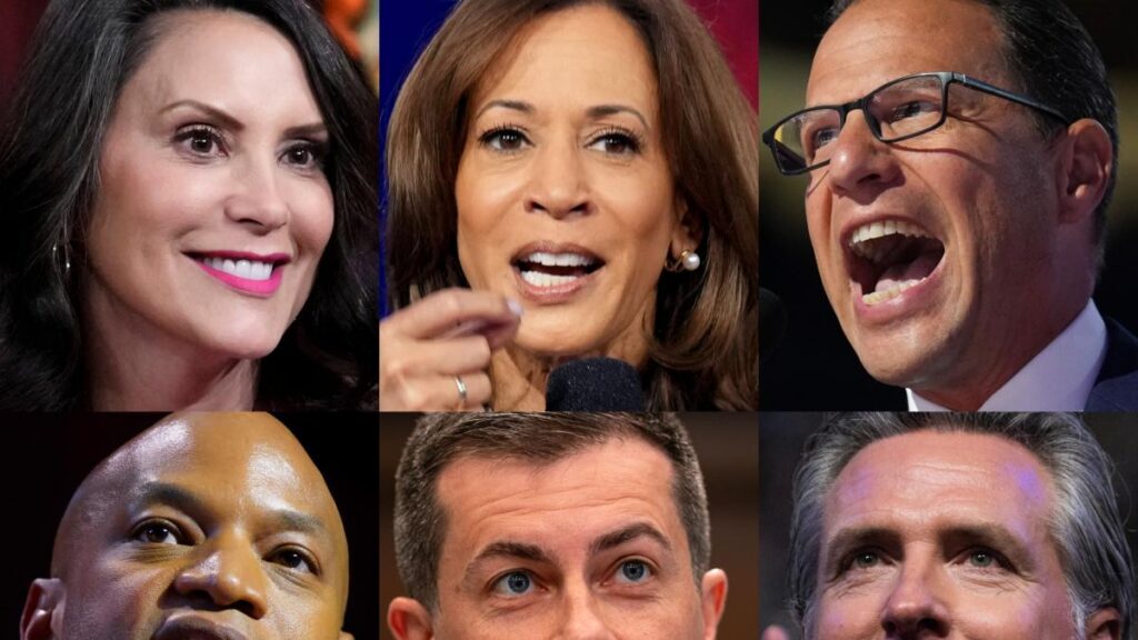 Democrat Party 2028 Presidential Field